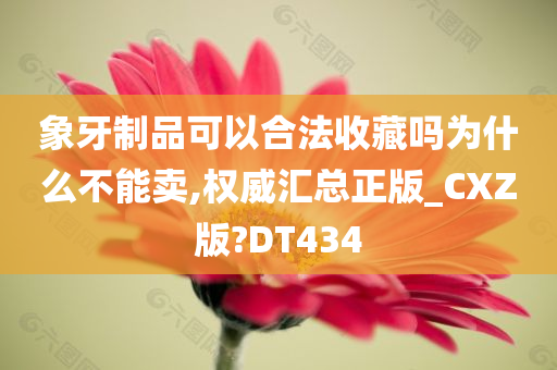 象牙制品可以合法收藏吗为什么不能卖,权威汇总正版_CXZ版?DT434