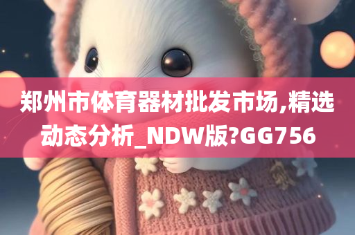 郑州市体育器材批发市场,精选动态分析_NDW版?GG756