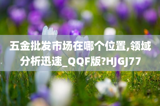 五金批发市场在哪个位置,领域分析迅速_QQF版?HJGJ77