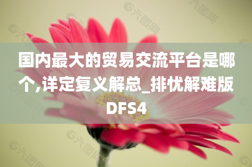 国内最大的贸易交流平台是哪个,详定复义解总_排忧解难版DFS4