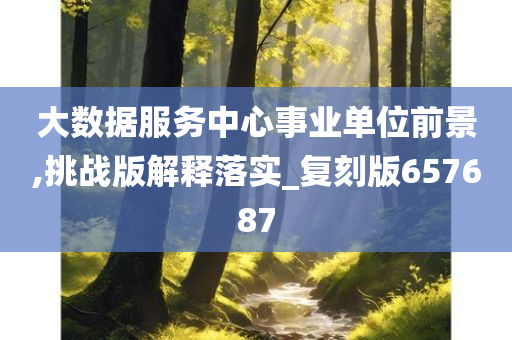 大数据服务中心事业单位前景,挑战版解释落实_复刻版657687