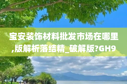 宝安装饰材料批发市场在哪里,版解析落结精_破解版?GH9