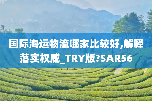 国际海运物流哪家比较好,解释落实权威_TRY版?SAR56