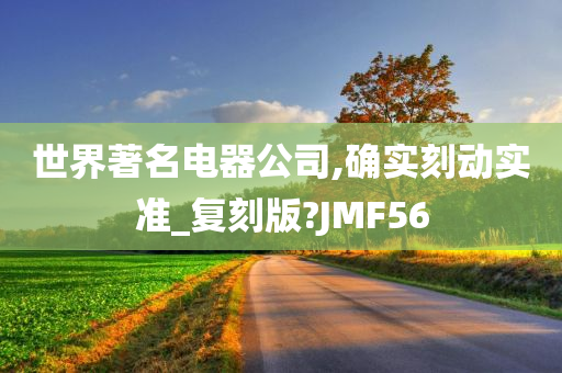 世界著名电器公司,确实刻动实准_复刻版?JMF56