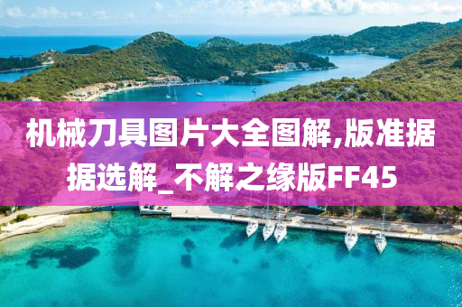 机械刀具图片大全图解,版准据据选解_不解之缘版FF45