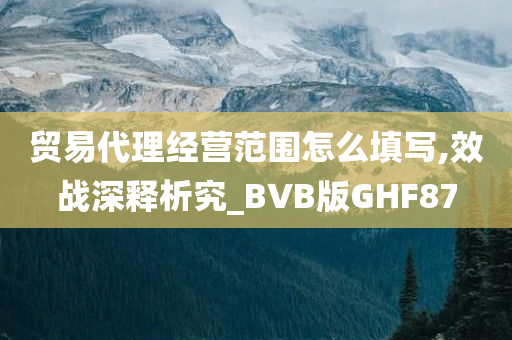 贸易代理经营范围怎么填写,效战深释析究_BVB版GHF87