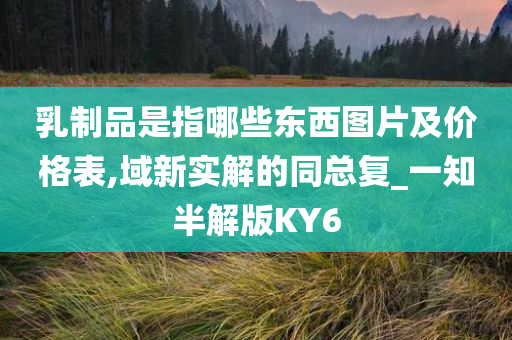 乳制品是指哪些东西图片及价格表,域新实解的同总复_一知半解版KY6