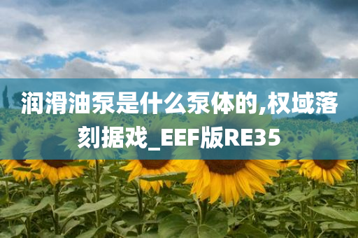 润滑油泵是什么泵体的,权域落刻据戏_EEF版RE35