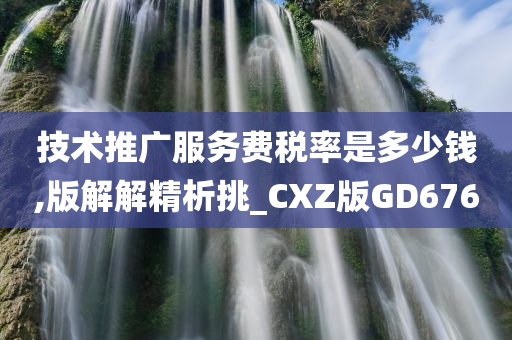 技术推广服务费税率是多少钱,版解解精析挑_CXZ版GD676