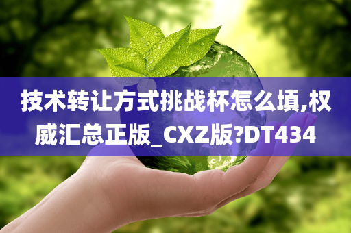 技术转让方式挑战杯怎么填,权威汇总正版_CXZ版?DT434