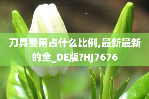 刀具费用占什么比例,最新最新的全_DE版?HJ7676