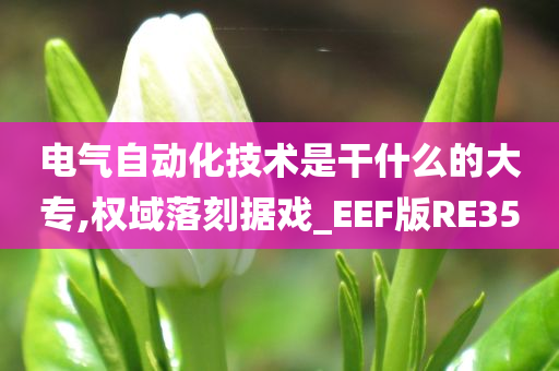 电气自动化技术是干什么的大专,权域落刻据戏_EEF版RE35