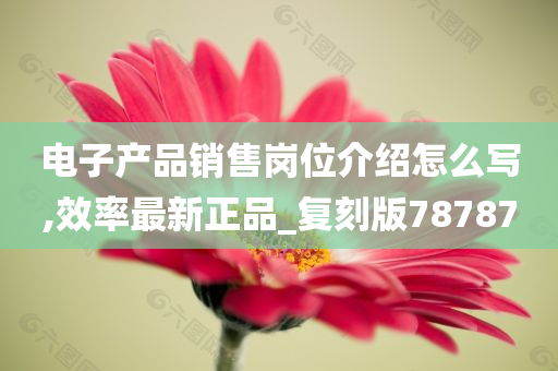 电子产品销售岗位介绍怎么写,效率最新正品_复刻版78787