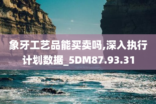 象牙工艺品能买卖吗,深入执行计划数据_5DM87.93.31