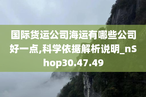 国际货运公司海运有哪些公司好一点,科学依据解析说明_nShop30.47.49