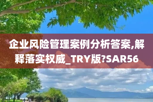 企业风险管理案例分析答案,解释落实权威_TRY版?SAR56