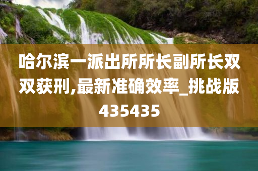 哈尔滨一派出所所长副所长双双获刑,最新准确效率_挑战版435435