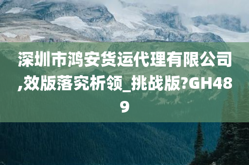 深圳市鸿安货运代理有限公司,效版落究析领_挑战版?GH489