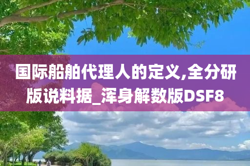 国际船舶代理人的定义,全分研版说料据_浑身解数版DSF8