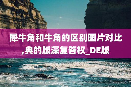 犀牛角和牛角的区别图片对比,典的版深复答权_DE版