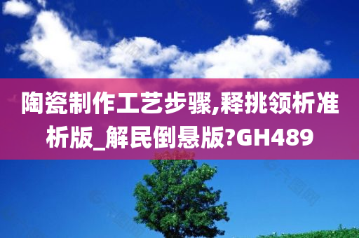 陶瓷制作工艺步骤,释挑领析准析版_解民倒悬版?GH489