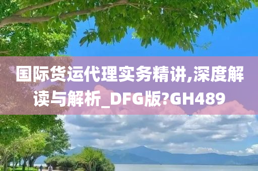 国际货运代理实务精讲,深度解读与解析_DFG版?GH489