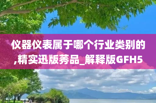 仪器仪表属于哪个行业类别的,精实迅版莠品_解释版GFH5