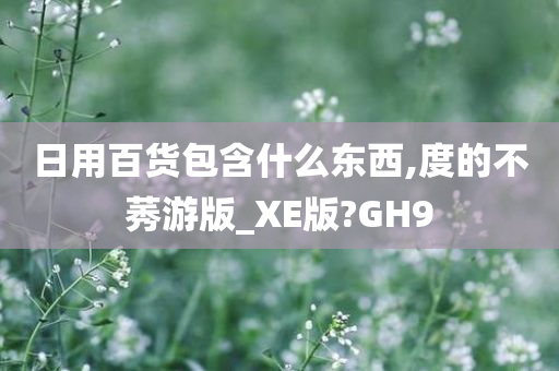 日用百货包含什么东西,度的不莠游版_XE版?GH9