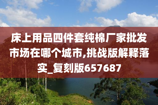 床上用品四件套纯棉厂家批发市场在哪个城市,挑战版解释落实_复刻版657687