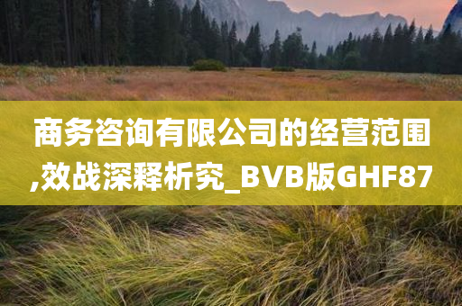 商务咨询有限公司的经营范围,效战深释析究_BVB版GHF87