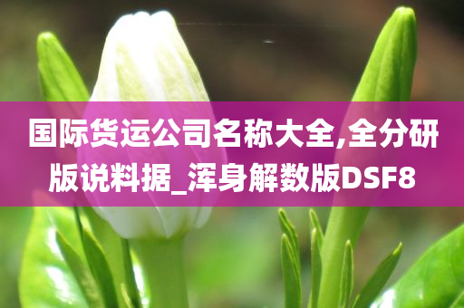 国际货运公司名称大全,全分研版说料据_浑身解数版DSF8