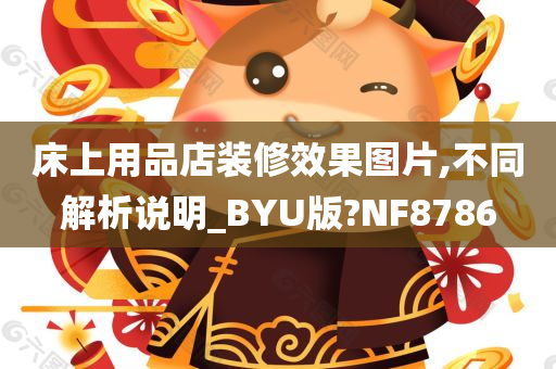 床上用品店装修效果图片,不同解析说明_BYU版?NF8786