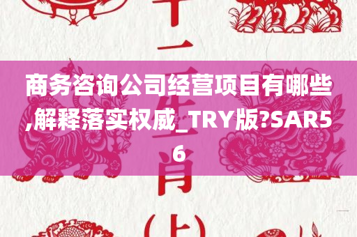 商务咨询公司经营项目有哪些,解释落实权威_TRY版?SAR56