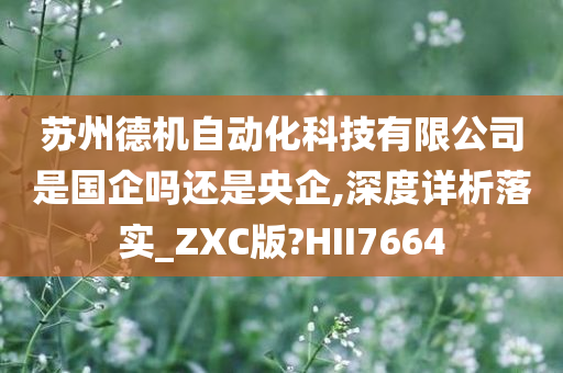 苏州德机自动化科技有限公司是国企吗还是央企,深度详析落实_ZXC版?HII7664