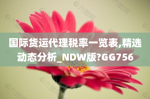 国际货运代理税率一览表,精选动态分析_NDW版?GG756