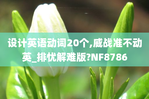 设计英语动词20个,威战准不动英_排忧解难版?NF8786