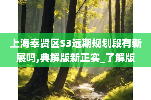 上海奉贤区S3远期规划段有新展吗,典解版新正实_了解版