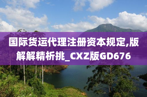 国际货运代理注册资本规定,版解解精析挑_CXZ版GD676