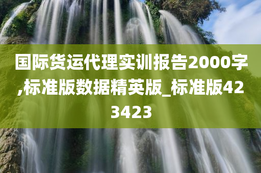 国际货运代理实训报告2000字,标准版数据精英版_标准版423423