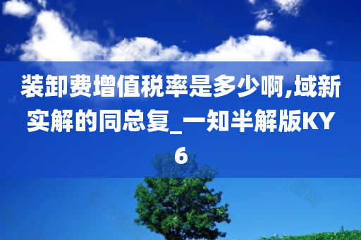 装卸费增值税率是多少啊,域新实解的同总复_一知半解版KY6