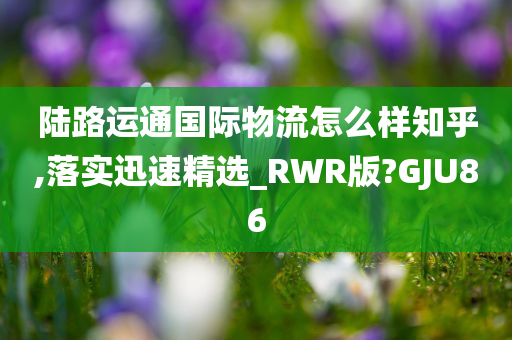 陆路运通国际物流怎么样知乎,落实迅速精选_RWR版?GJU86