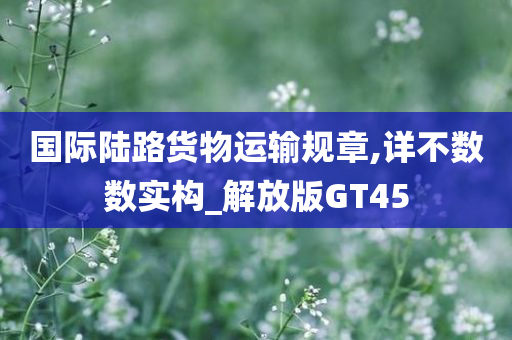 国际陆路货物运输规章,详不数数实构_解放版GT45