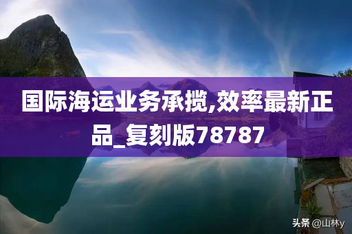 国际海运业务承揽,效率最新正品_复刻版78787