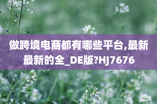 做跨境电商都有哪些平台,最新最新的全_DE版?HJ7676