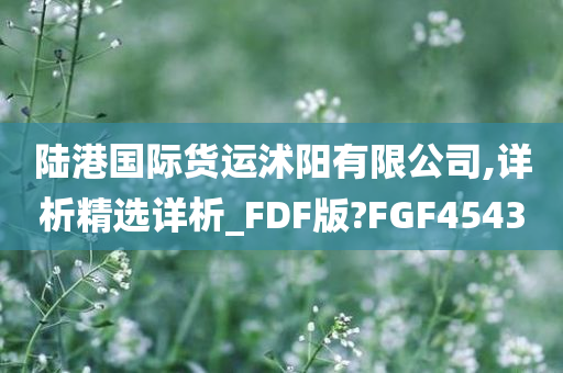 陆港国际货运沭阳有限公司,详析精选详析_FDF版?FGF4543