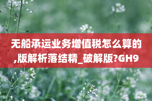 无船承运业务增值税怎么算的,版解析落结精_破解版?GH9