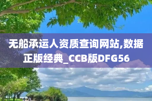 无船承运人资质查询网站,数据正版经典_CCB版DFG56