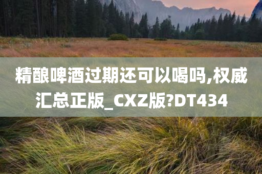 精酿啤酒过期还可以喝吗,权威汇总正版_CXZ版?DT434