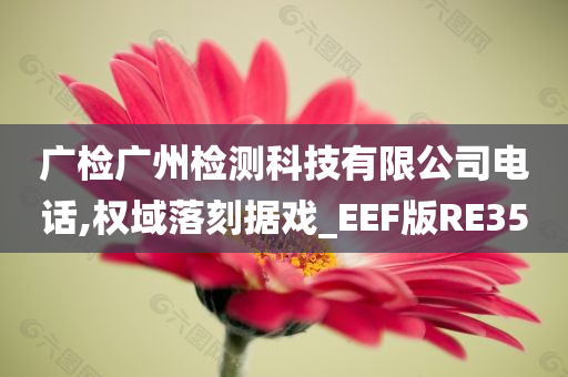 广检广州检测科技有限公司电话,权域落刻据戏_EEF版RE35