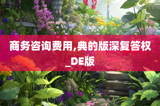 商务咨询费用,典的版深复答权_DE版